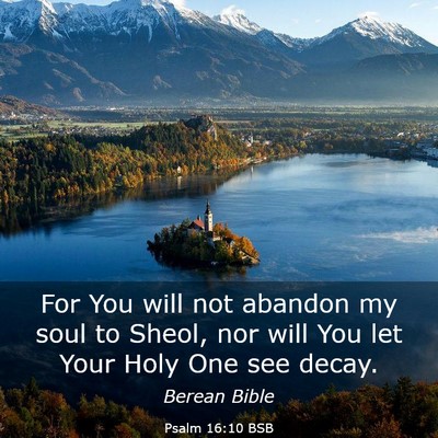 Picture 03 - Psalm 16:10 BSB - For You will not abandon my soul to Sheol, nor - Bible Verse Picture