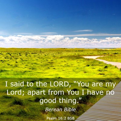 Picture 03 - Psalm 16:2 BSB - I said to the LORD, “You are my Lord; apart - Bible Verse Picture