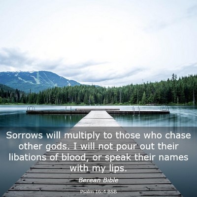 Picture 03 - Psalm 16:4 BSB - Sorrows will multiply to those who chase other - Bible Verse Picture