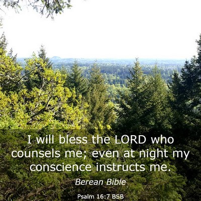 Picture 03 - Psalm 16:7 BSB - I will bless the LORD who counsels me; even at - Bible Verse Picture