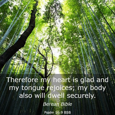 Picture 03 - Psalm 16:9 BSB - Therefore my heart is glad and my tongue - Bible Verse Picture