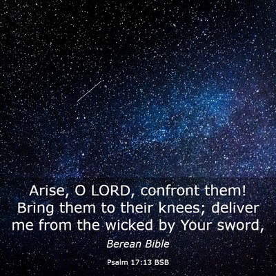 Picture 03 - Psalm 17:13 BSB - Arise, O LORD, confront them! Bring them to their - Bible Verse Picture
