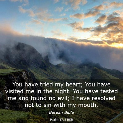 Picture 03 - Psalm 17:3 BSB - You have tried my heart; You have visited me in - Bible Verse Picture
