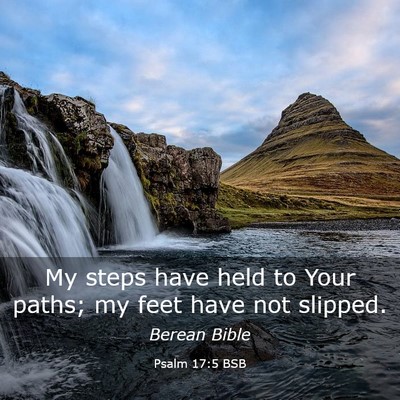 Picture 03 - Psalm 17:5 BSB - My steps have held to Your paths; my feet have - Bible Verse Picture