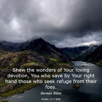 Picture 03 - Psalm 17:7 BSB - Show the wonders of Your loving devotion, You who - Bible Verse Picture