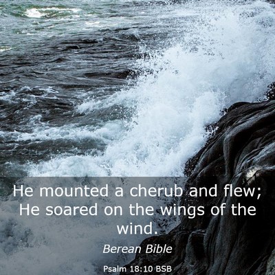 Picture 03 - Psalm 18:10 BSB - He mounted a cherub and flew; He soared on the - Bible Verse Picture