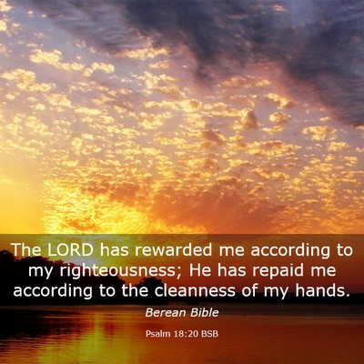 Picture 03 - Psalm 18:20 BSB - The LORD has rewarded me according to my - Bible Verse Picture