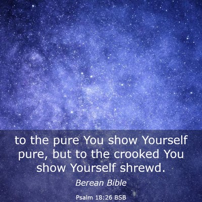 Picture 03 - Psalm 18:26 BSB - to the pure You show Yourself pure, but to the - Bible Verse Picture
