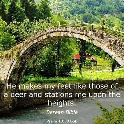 Picture 03 - Psalm 18:33 BSB - He makes my feet like those of a deer and - Bible Verse Picture
