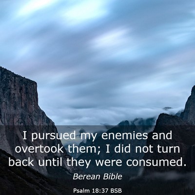 Picture 03 - Psalm 18:37 BSB - I pursued my enemies and overtook them; I did not - Bible Verse Picture