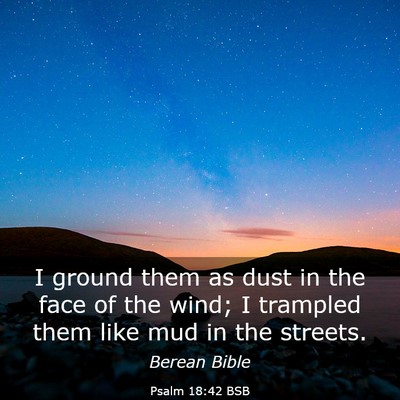 Picture 03 - Psalm 18:42 BSB - I ground them as dust in the face of the wind; I - Bible Verse Picture