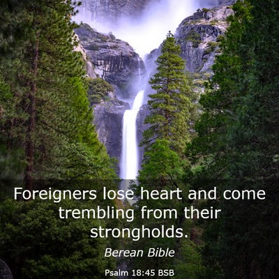 Picture 03 - Psalm 18:45 BSB - Foreigners lose heart and come trembling from - Bible Verse Picture