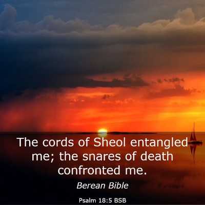 Picture 03 - Psalm 18:5 BSB - The cords of Sheol entangled me; the snares of - Bible Verse Picture