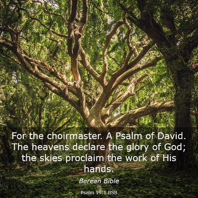 Picture 03 - Psalm 19:1 BSB - For the choirmaster. A Psalm of David. The - Bible Verse Picture