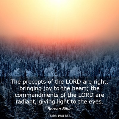 Picture 03 - Psalm 19:8 BSB - The precepts of the LORD are right, bringing joy - Bible Verse Picture