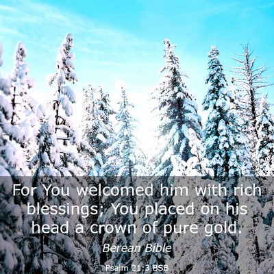 Picture 03 - Psalm 21:3 BSB - For You welcomed him with rich blessings; You - Bible Verse Picture