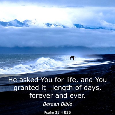 Picture 03 - Psalm 21:4 BSB - He asked You for life, and You granted - Bible Verse Picture