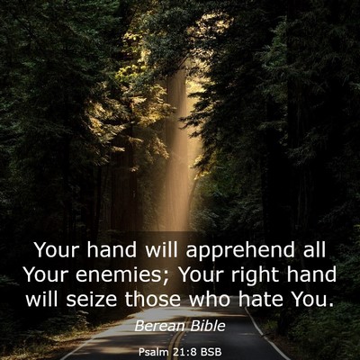 Picture 03 - Psalm 21:8 BSB - Your hand will apprehend all Your enemies; Your - Bible Verse Picture