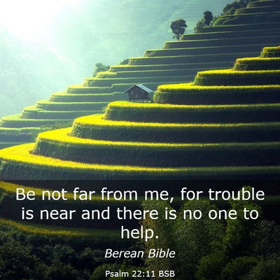 Picture 03 - Psalm 22:11 BSB - Be not far from me, for trouble is near and there - Bible Verse Picture