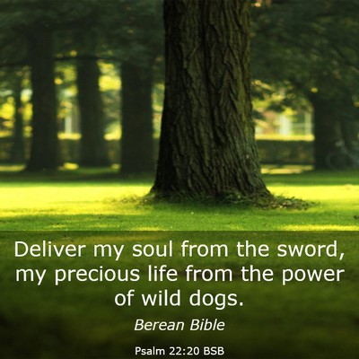 Picture 03 - Psalm 22:20 BSB - Deliver my soul from the sword, my precious life - Bible Verse Picture