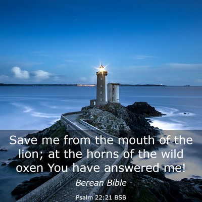 Picture 03 - Psalm 22:21 BSB - Save me from the mouth of the lion; at the horns - Bible Verse Picture