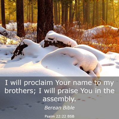 Picture 03 - Psalm 22:22 BSB - I will proclaim Your name to my brothers; I will - Bible Verse Picture