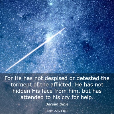 Picture 03 - Psalm 22:24 BSB - For He has not despised or detested the torment - Bible Verse Picture
