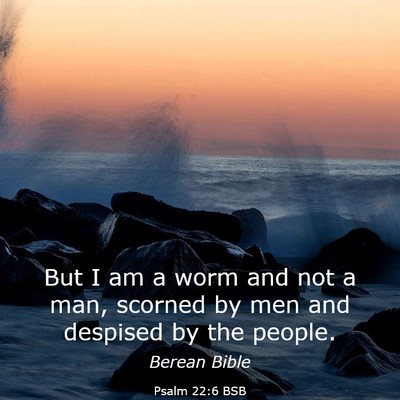 Picture 03 - Psalm 22:6 BSB - But I am a worm and not a man, scorned by men and - Bible Verse Picture