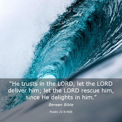 Picture 03 - Psalm 22:8 BSB - “He trusts in the LORD, let the LORD deliver - Bible Verse Picture