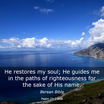 Picture 03 - Psalm 23:3 BSB - He restores my soul; He guides me in the paths of - Bible Verse Picture