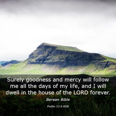 Picture 03 - Psalm 23:6 BSB - Surely goodness and mercy will follow me all the - Bible Verse Picture