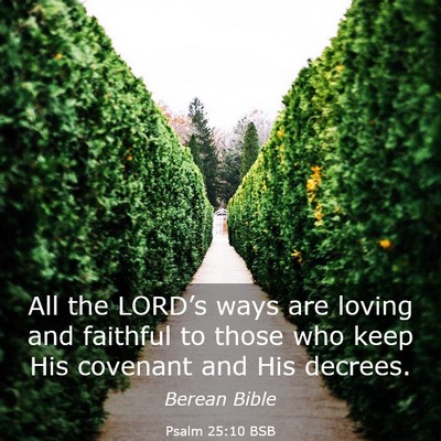 Picture 03 - Psalm 25:10 BSB - All the LORD’s ways are loving and faithful to - Bible Verse Picture