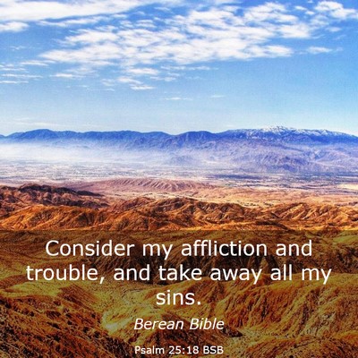 Picture 03 - Psalm 25:18 BSB - Consider my affliction and trouble, and take away - Bible Verse Picture