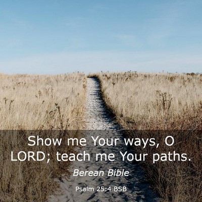 Picture 03 - Psalm 25:4 BSB - Show me Your ways, O LORD; teach me Your - Bible Verse Picture