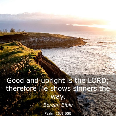 Picture 03 - Psalm 25:8 BSB - Good and upright is the LORD; therefore He shows - Bible Verse Picture