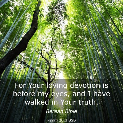 Picture 03 - Psalm 26:3 BSB - For Your loving devotion is before my eyes, and I - Bible Verse Picture