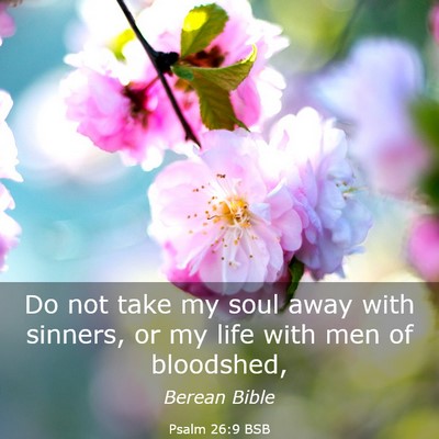 Picture 03 - Psalm 26:9 BSB - Do not take my soul away with sinners, or my life - Bible Verse Picture