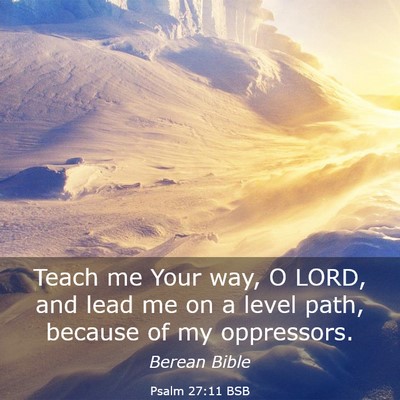 Picture 03 - Psalm 27:11 BSB - Teach me Your way, O LORD, and lead me on a level - Bible Verse Picture