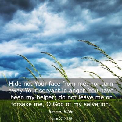 Picture 03 - Psalm 27:9 BSB - Hide not Your face from me, nor turn away Your - Bible Verse Picture