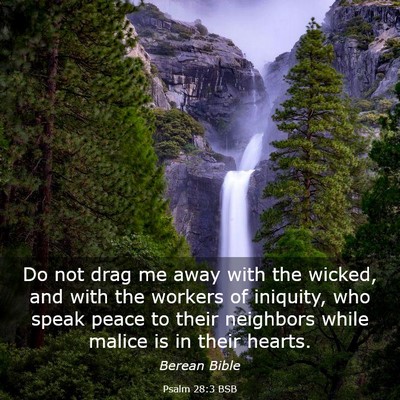 Picture 03 - Psalm 28:3 BSB - Do not drag me away with the wicked, and with the - Bible Verse Picture