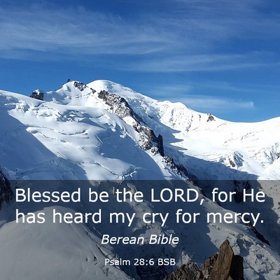 Picture 03 - Psalm 28:6 BSB - Blessed be the LORD, for He has heard my cry for - Bible Verse Picture