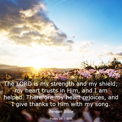 Picture 03 - Psalm 28:7 BSB - The LORD is my strength and my shield; my heart - Bible Verse Picture