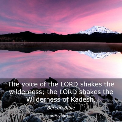 Picture 03 - Psalm 29:8 BSB - The voice of the LORD shakes the wilderness; the - Bible Verse Picture
