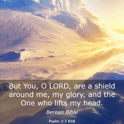 Picture 03 - Psalm 3:3 BSB - But You, O LORD, are a shield around me, my - Bible Verse Picture