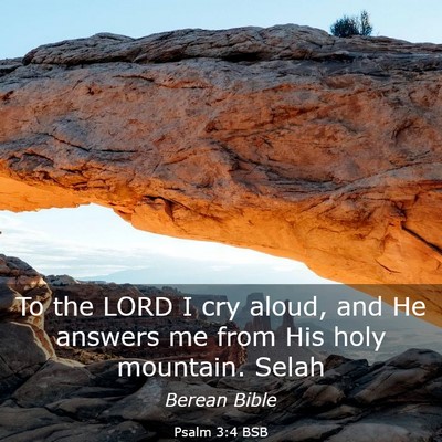 Picture 03 - Psalm 3:4 BSB - To the LORD I cry aloud, and He answers me from - Bible Verse Picture