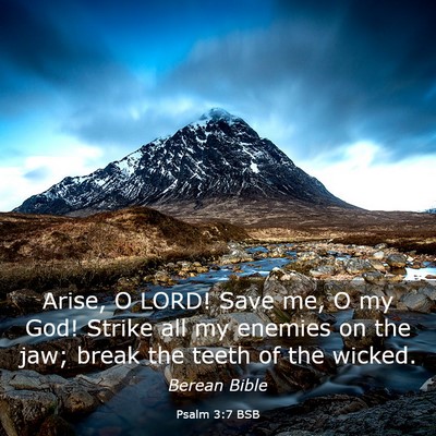 Picture 03 - Psalm 3:7 BSB - Arise, O LORD! Save me, O my God! Strike all my - Bible Verse Picture