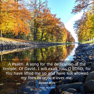 Picture 03 - Psalm 30:1 BSB - A Psalm. A song for the dedication of the temple. - Bible Verse Picture