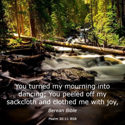 Picture 03 - Psalm 30:11 BSB - You turned my mourning into dancing; You peeled - Bible Verse Picture