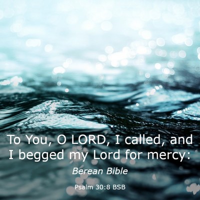 Picture 03 - Psalm 30:8 BSB - To You, O LORD, I called, and I begged my Lord - Bible Verse Picture