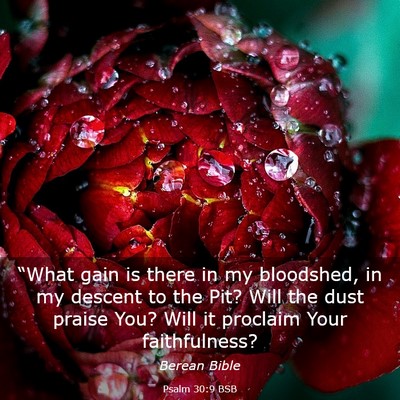 Picture 03 - Psalm 30:9 BSB - “What gain is there in my bloodshed, in my - Bible Verse Picture